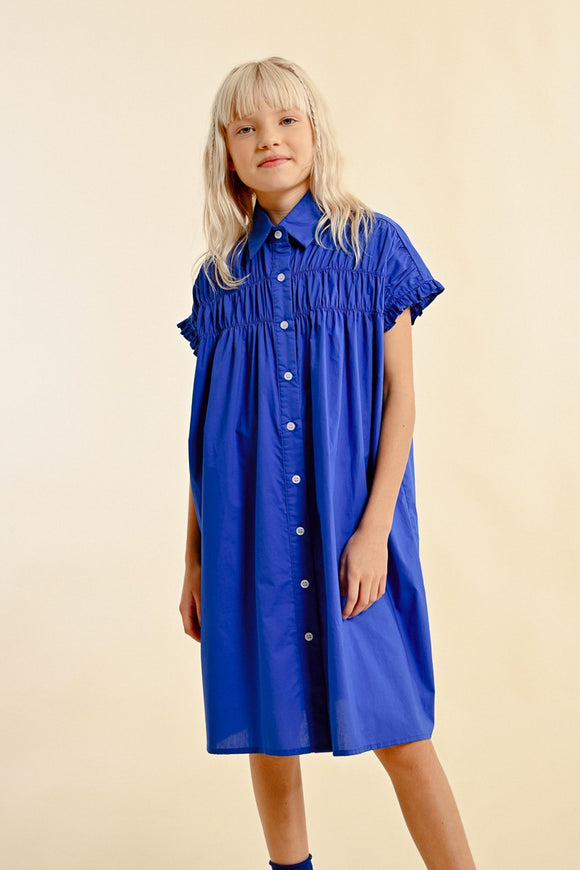 Molly Shirt Dress in Royal Blue