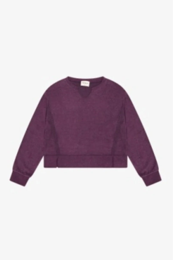 Tenly Hacci Cropped Sweatshirt in Fig