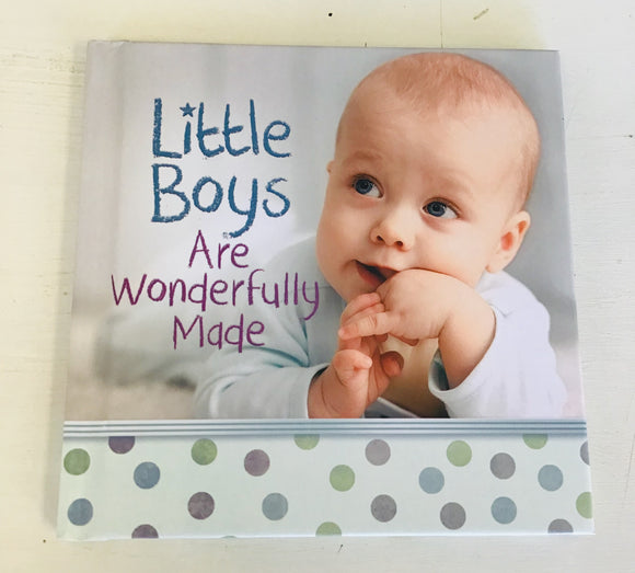 Book-Little Boys are wonderfully Made